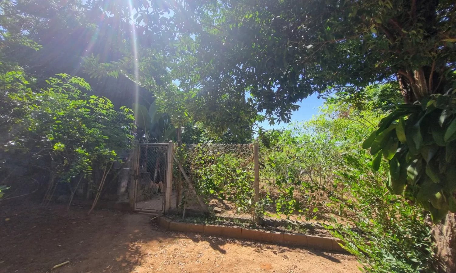 Recreio Campo Belo - chacara 1 (10)