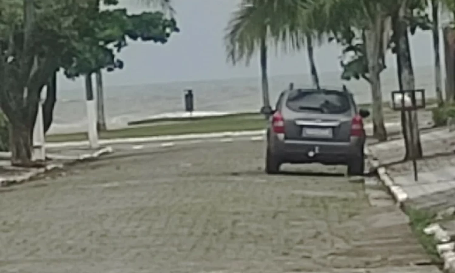 casa pria grande 7 (3)
