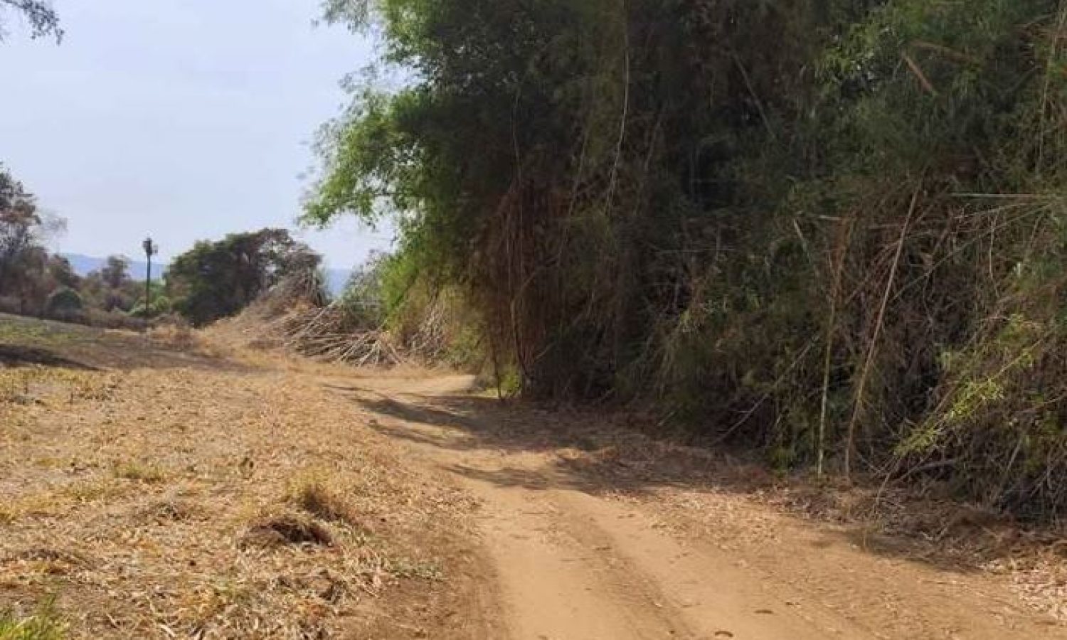 terreno pedregulho 7 (4)